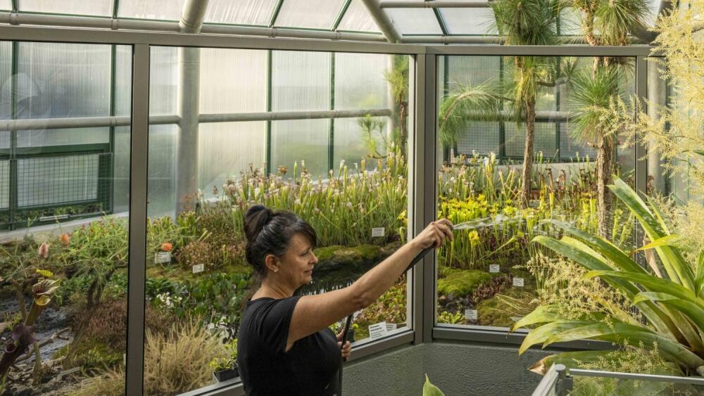 Botanická zahrada, foto: Artur Irma